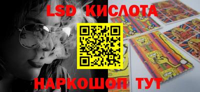 прущие грибы Чебоксары