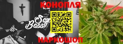 прущие грибы Чебоксары