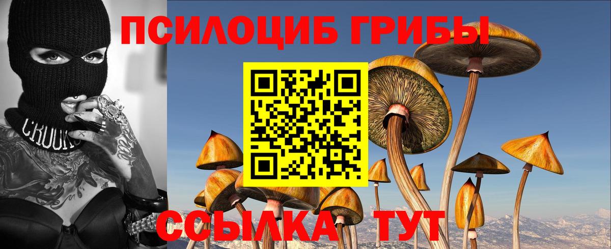 Галлюциногенные грибы GOLDEN TEACHER  Псилоцибиновые грибы прущие грибы  Вход с VPN  Бийск 