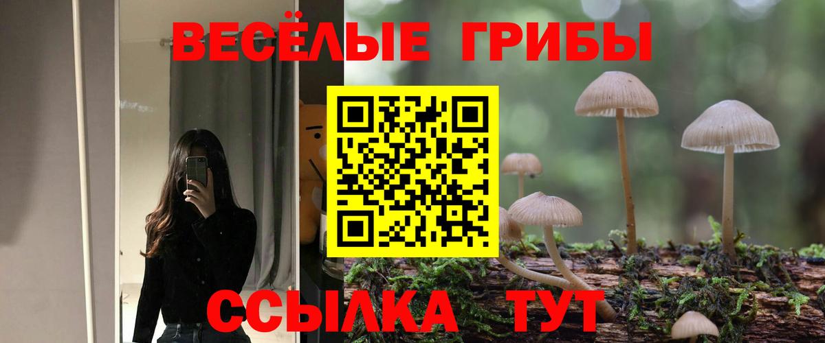 Галлюциногенные грибы Cubensis Бийск